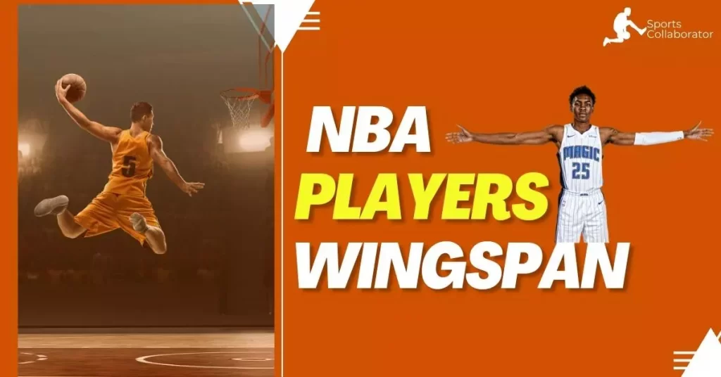 Wingspan in the basketball